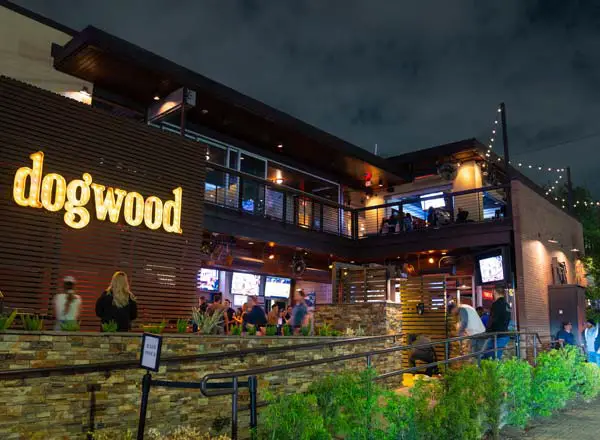 Bar en la azotea The Dogwood en Houston