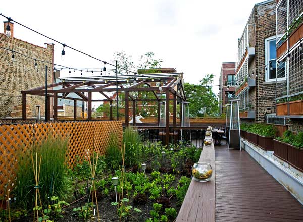 Bar en la azotea Homestead On The Roof en Chicago