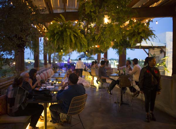 Bar en la azotea Restaurante Vista en Miami